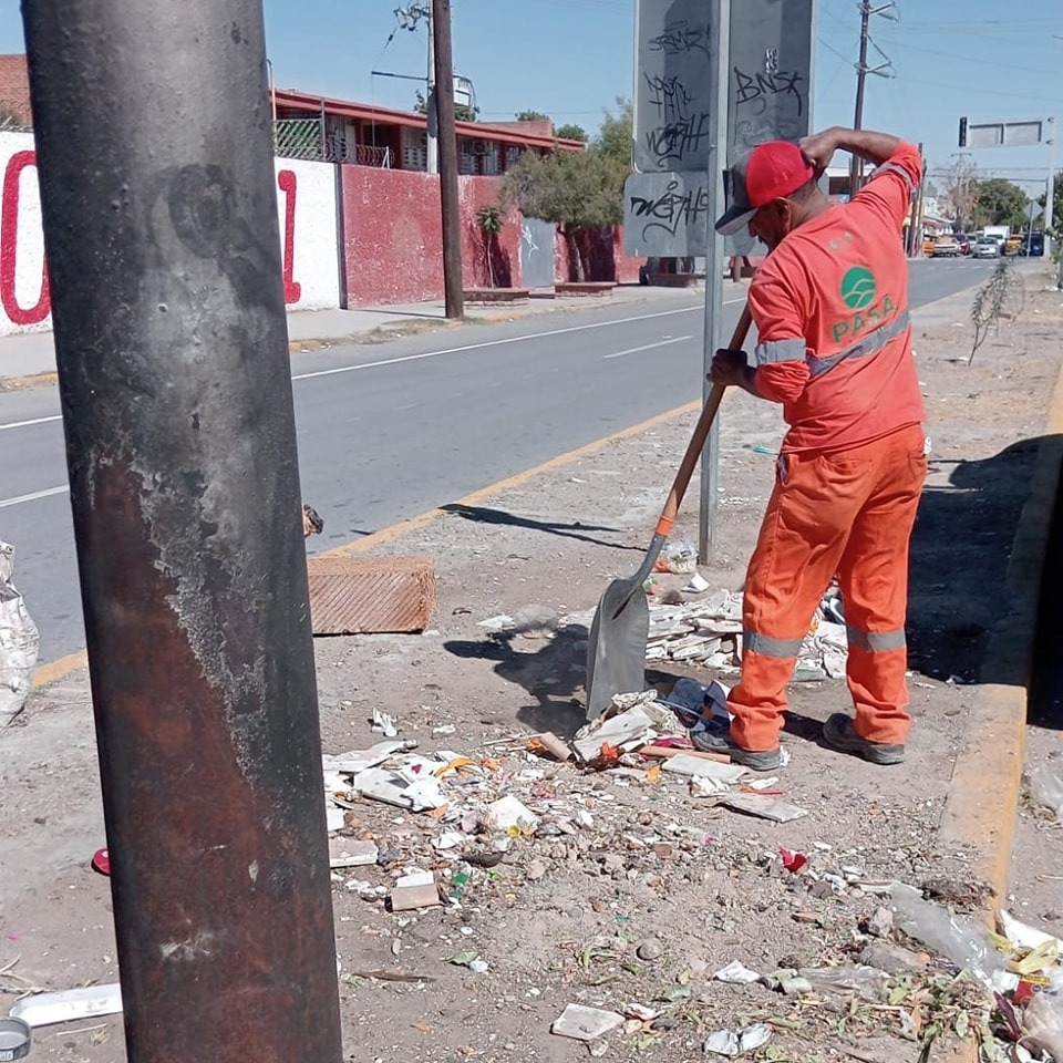Servicios Públicos realiza trabajos de limpieza y reforestación en camellón de la colonia Abastos; destacan la participación ciudadana