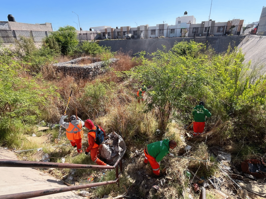 “Ruta del Descacharre” recolectó 190 toneladas de basura en solo cuatro días de actividad