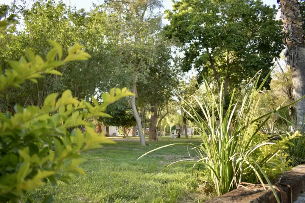 Bosque Venustiano Carranza: el pulmón que respira historias