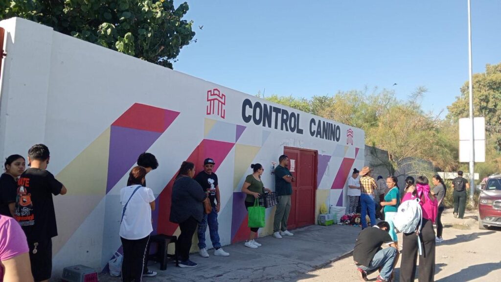 Invitan a jornada de adopción animal y servicios gratuitos este domingo en Control Canino